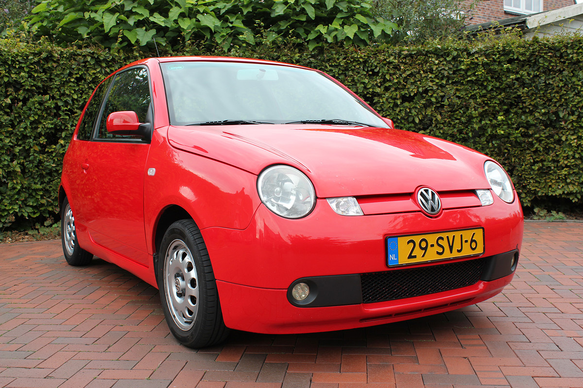 Lupo_rondom_6