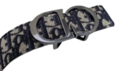 Best batch for Dior Belt [3+ styles]