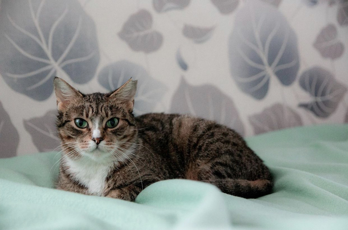 A689029E-678D-4A84-8671-7F3CF3B78A39