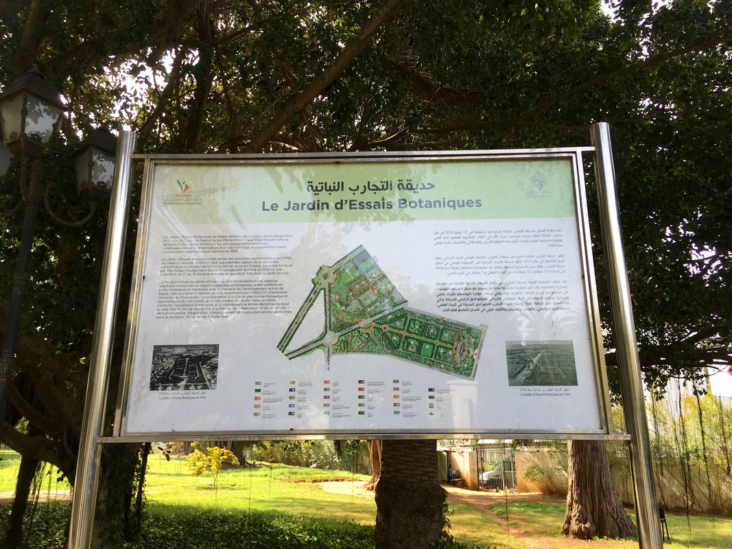 Que visitar en Rabat, Ciudad-Marruecos (111)