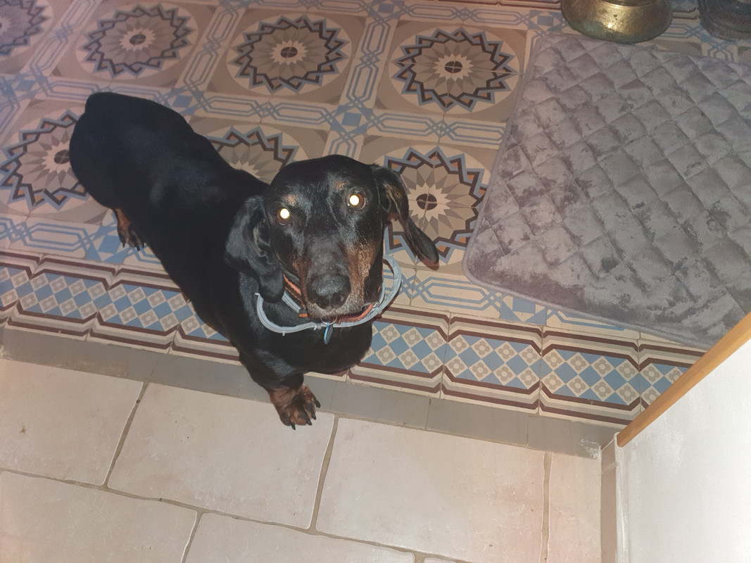 [Image: 20220114-211200.jpg]