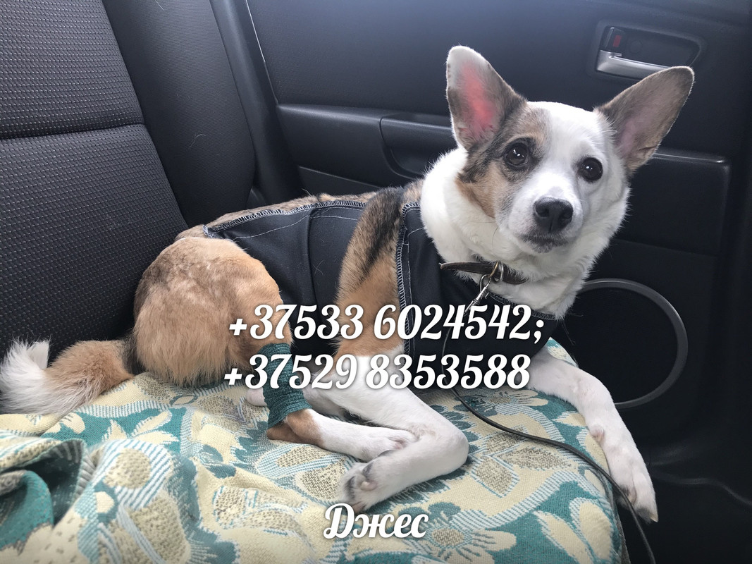 9E6FCCBC-735A-41A4-A04A-D7341912F156