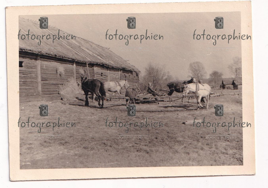 org. Foto Russland Bevölkerung Pferde Mühle 1943