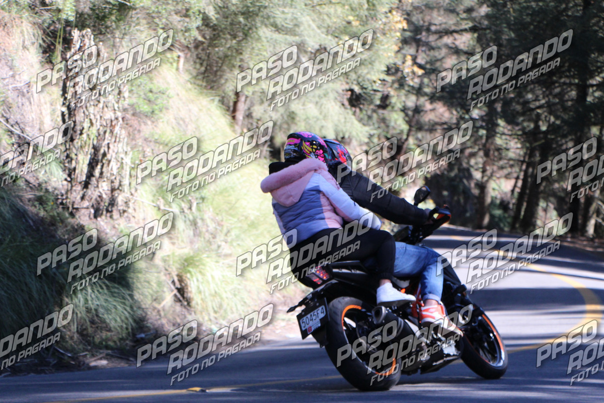 IMG 4741 wm 4001903 6 watermarked — Postimages