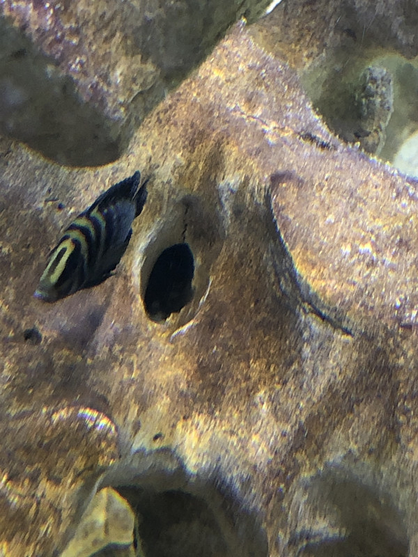 746B0057-B8FB-4DF0-8977-BECA3F411785