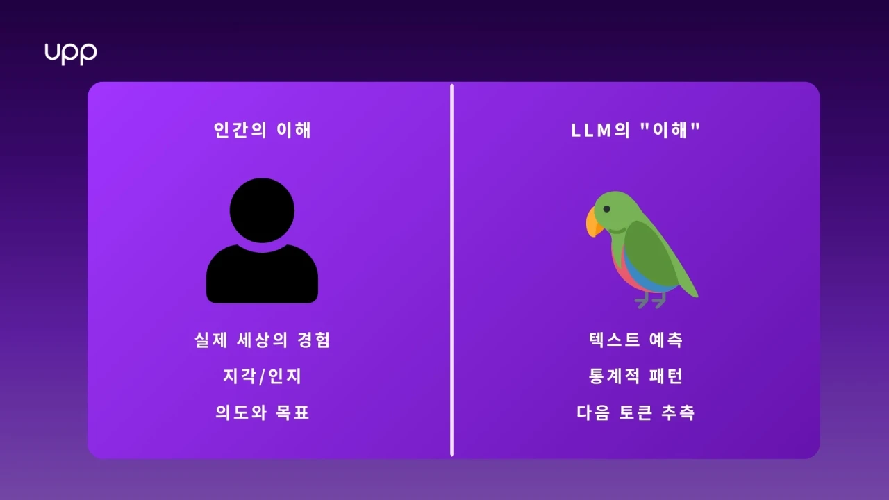 인간 이해와 LLM "이해"의 차이점