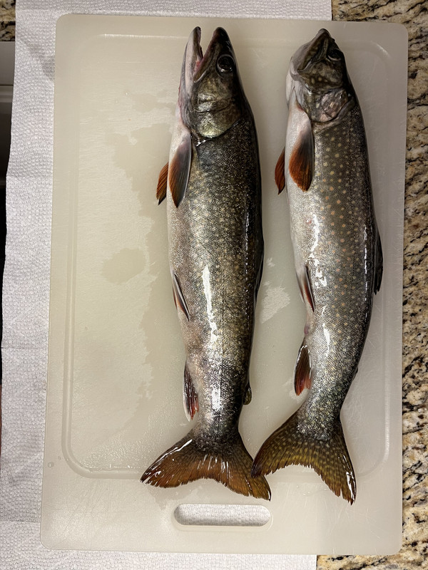 AAE9A197-5BB5-419E-BCE3-B383728B4847