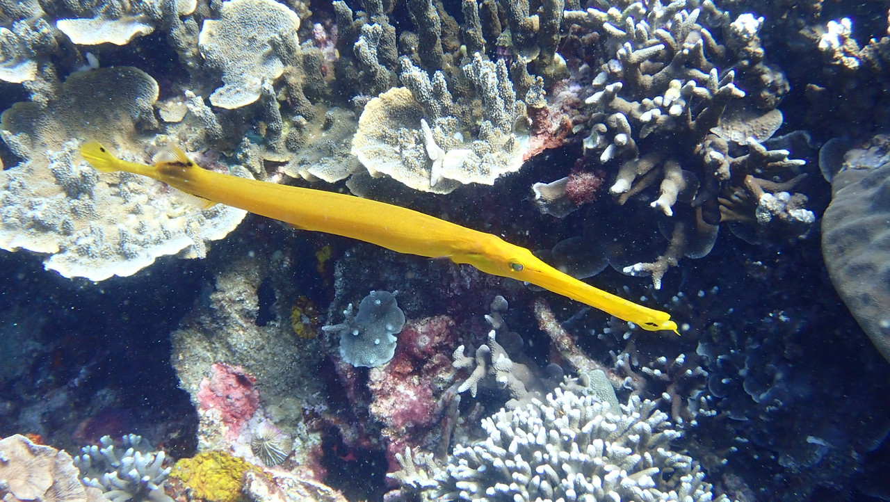 3604B901-1ADA-48D6-9845-9E94BD983AD0