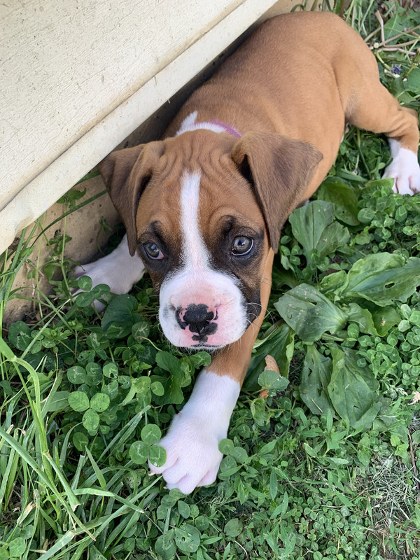 9DE97AEF-75B1-44CA-8D29-1E6E17D556DE