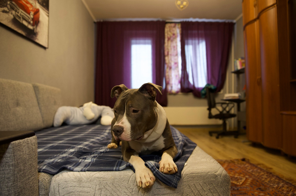 923D2434-9297-4416-8587-8C6C58C06DF2