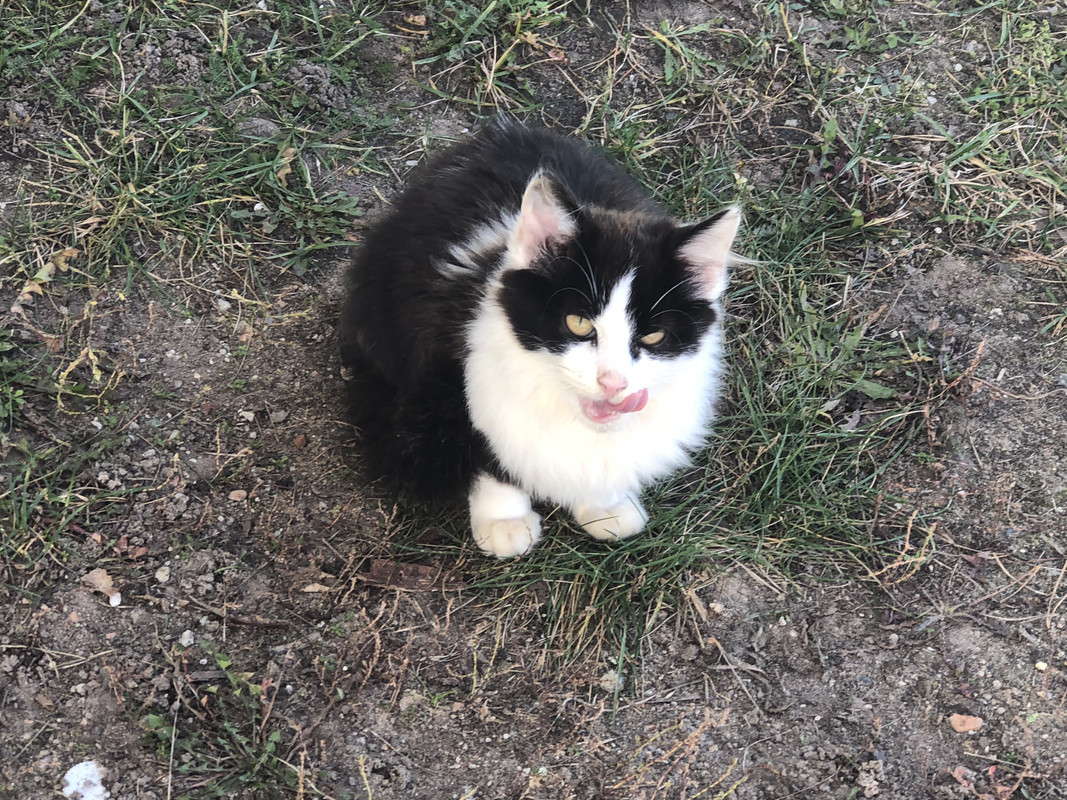 FE264435-135C-4102-A229-246F70BE9990