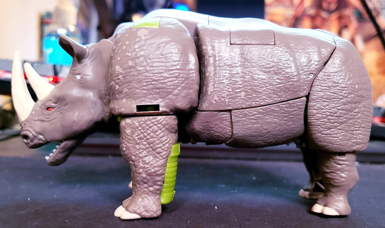 Kingdom-Rhinox-In-Hand-Images-21