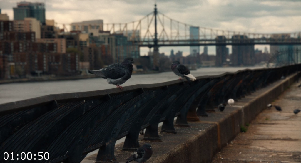 [Kép: The-Great-2025-720p-Blu-Ray-x264-AAC.png]