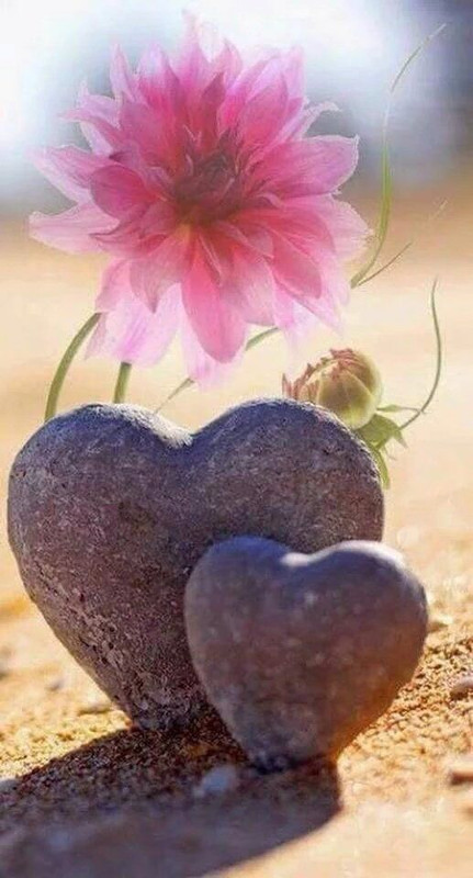 [Image: 1aa32f7ebdea47141daa87685cc04581.jpg]