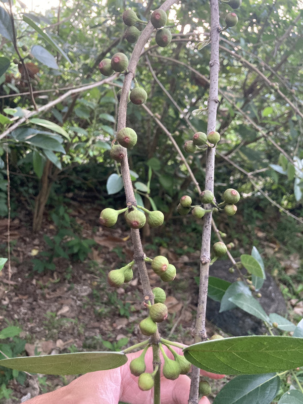 7983989C-D29F-4C85-995C-E4C572B78AB9