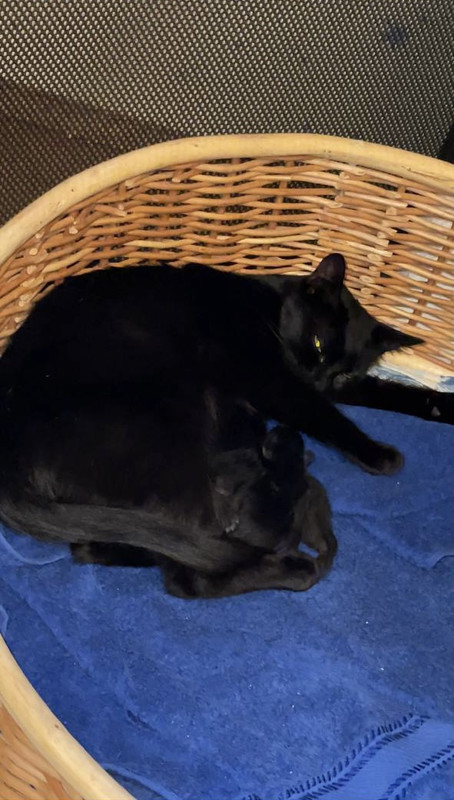 87AF9452-3207-4D5D-8632-12C26BD25AE8