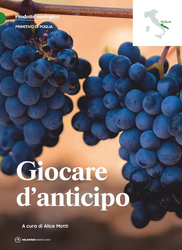 melaverde Mar 2023 (11)