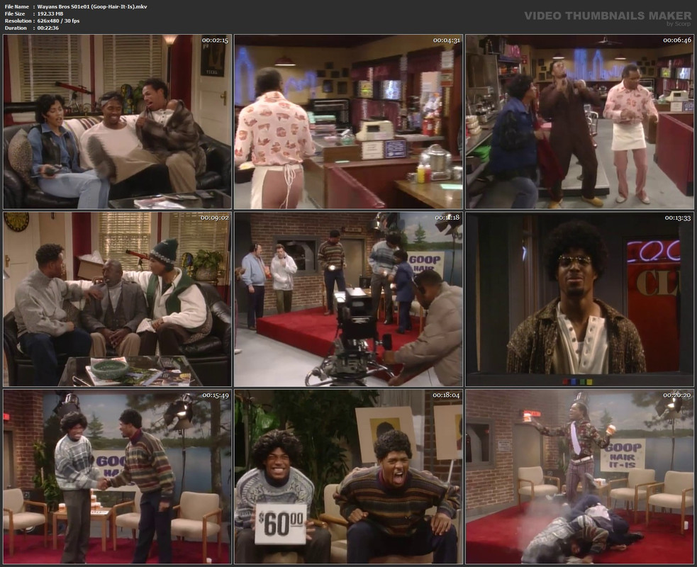 Wayans Bros S01e01 (Goop-Hair-It-Is).mkv