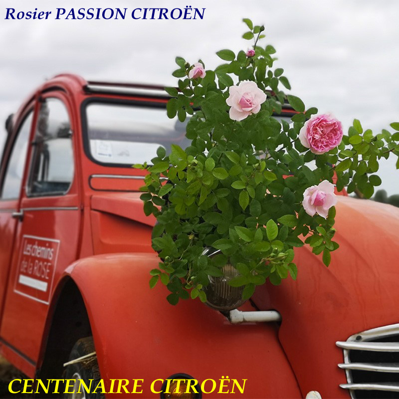 passion-citroen 2