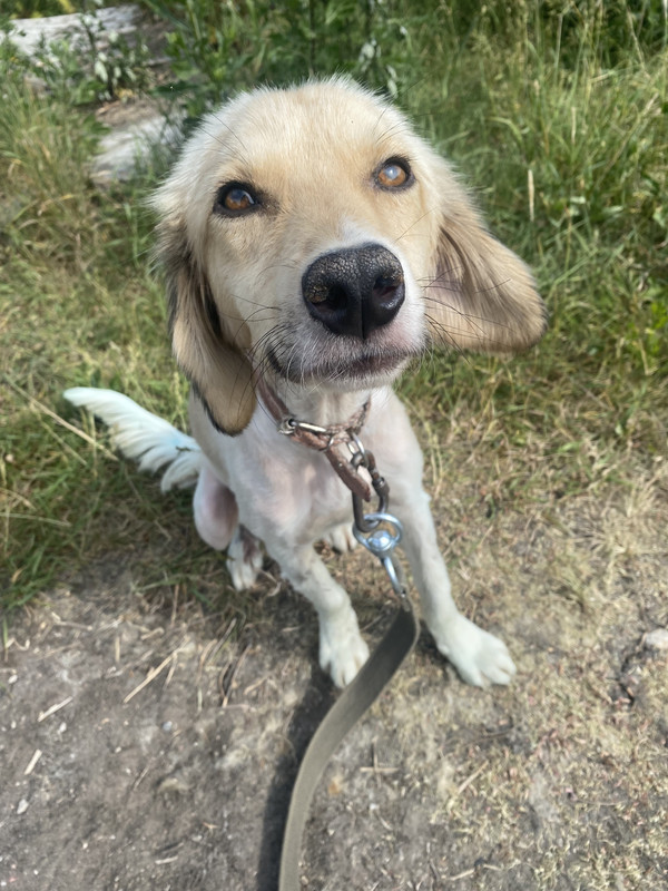 72A48E77-6064-4C94-96AC-F44E4C286775