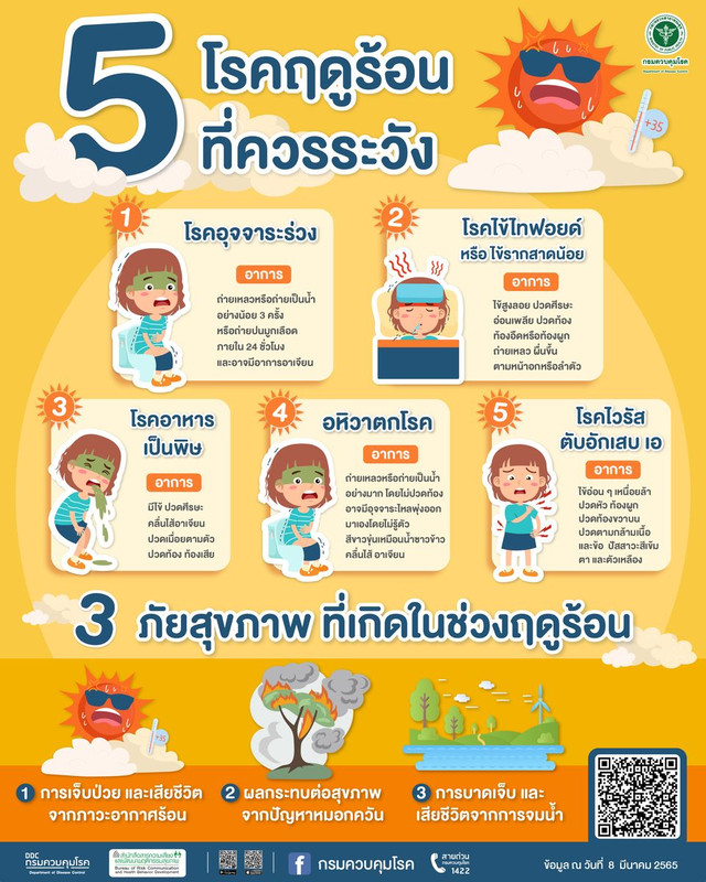5dz summer