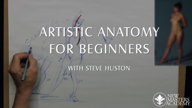 Art Anatomy for Beginners
