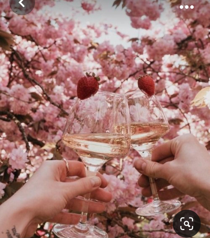 Screenshot_20231004_222630_Pinterest