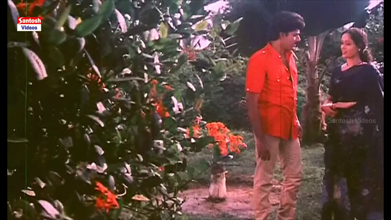 vlcsnap 2025 12 05 15h37m53s638