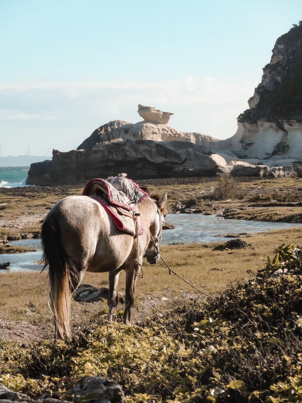 photo 24 2025 12 12 16 30 14