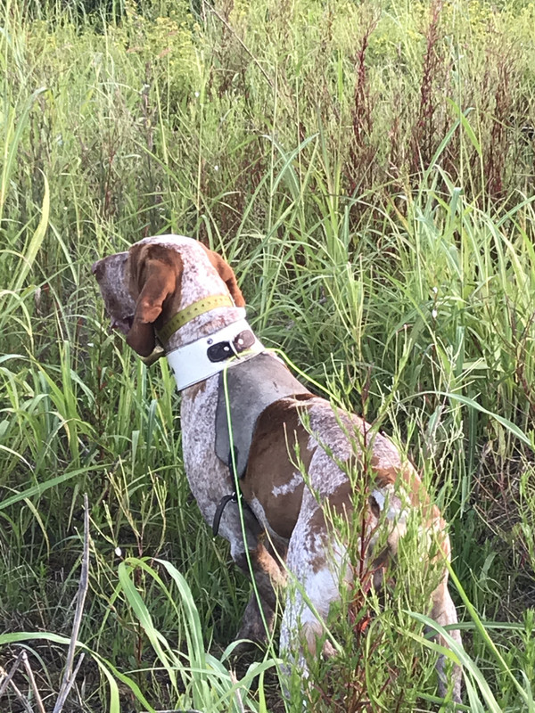 0418CF42-A962-4E65-8843-2F8AEABE8499