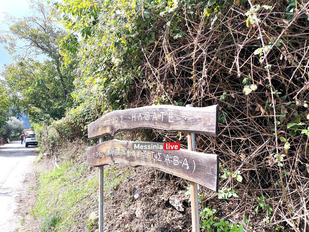 LADASIMG-20251012-132646