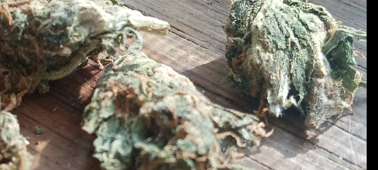 Screenshot 20260303 123104 com huawei photos