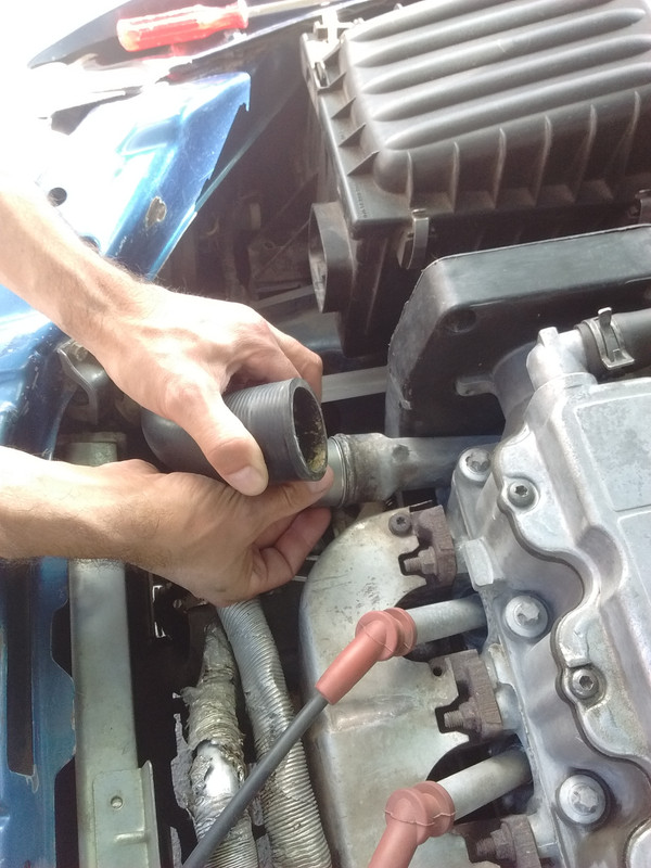 IMG_20170319_151948516