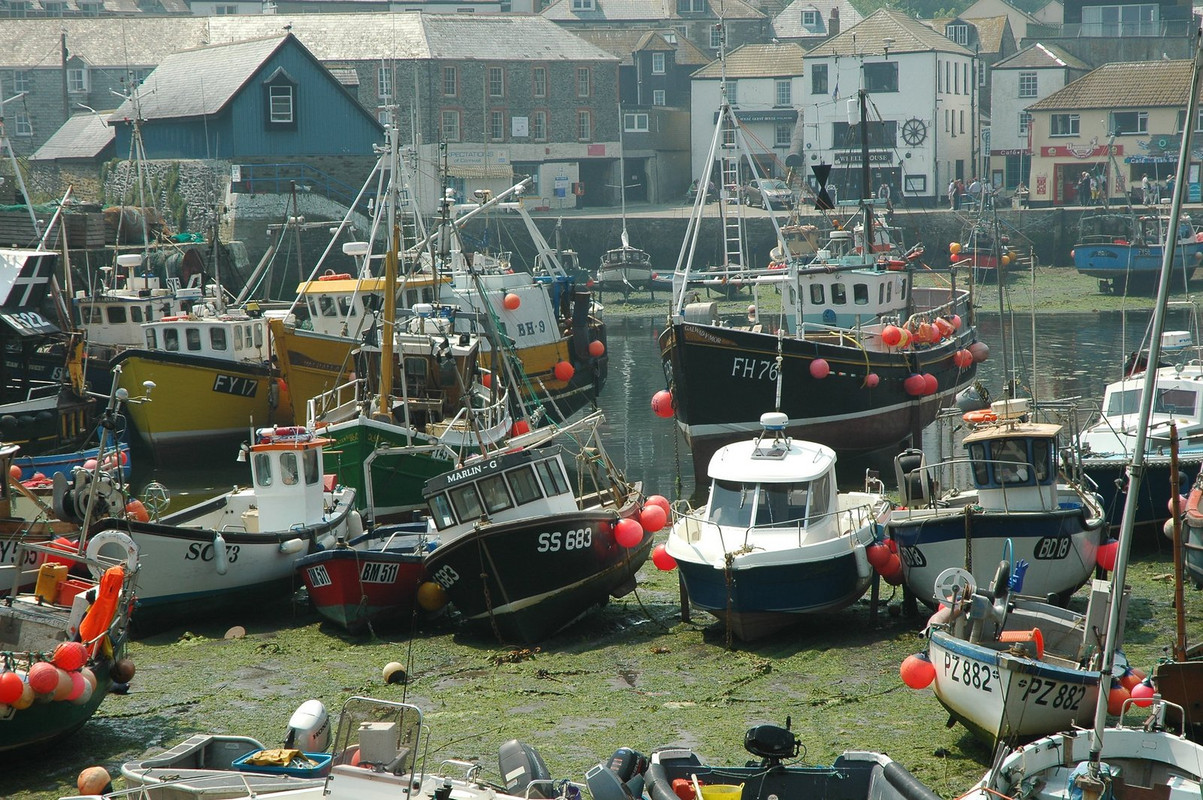 multi-mevagissey-fishing-boats.jpg