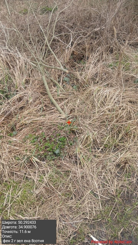photo 7 2026 04 08 20 04 44