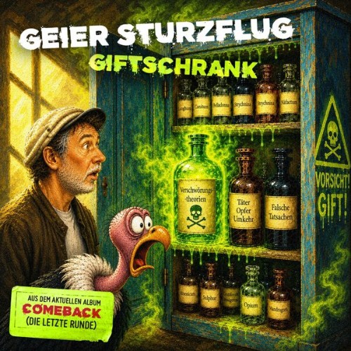 2Geier-Sturzflug.jpg
