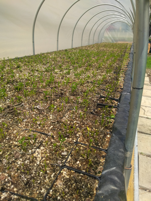 IMG_20180508_133913(1)