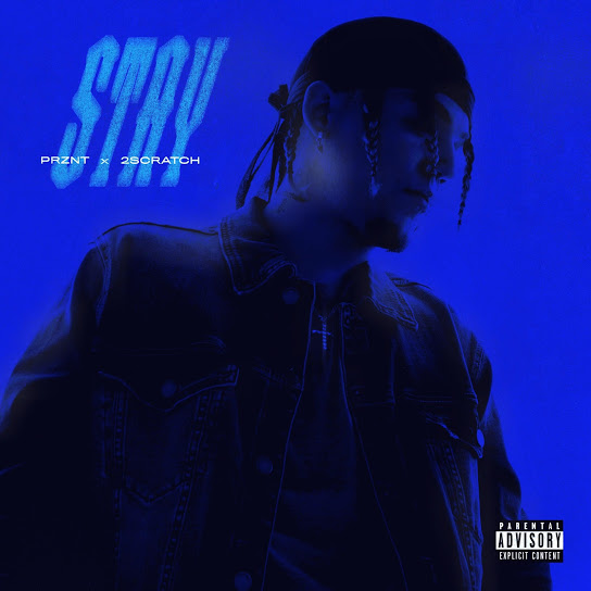 Cover of Stay