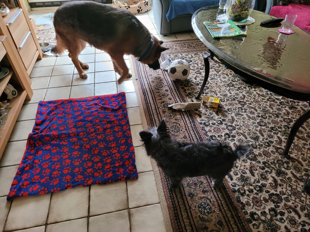 20250301_131055 - Kopiert (2)