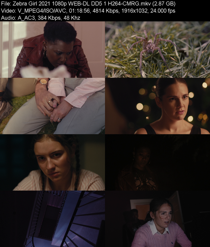 zebra-girl-2021-1080p-web-dl-dd5-1-h264-