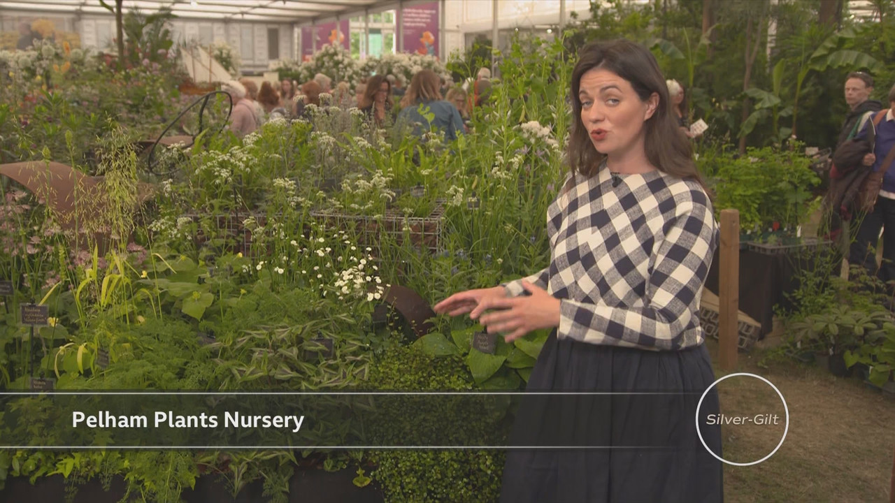 RHS Chelsea Flower Show 2025_20250523_14001500.ts_snapshot_00.06.38.689