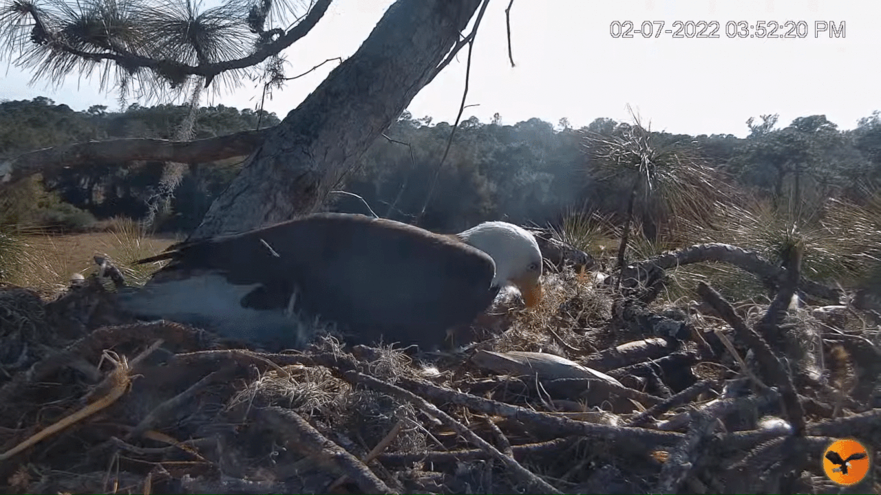 Webp.net-gifmaker (3)