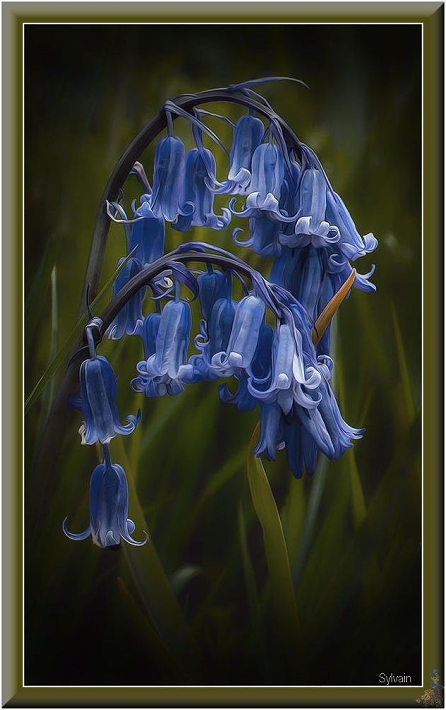 m-blauwe