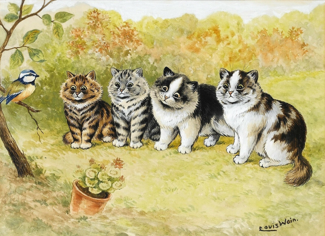 14
