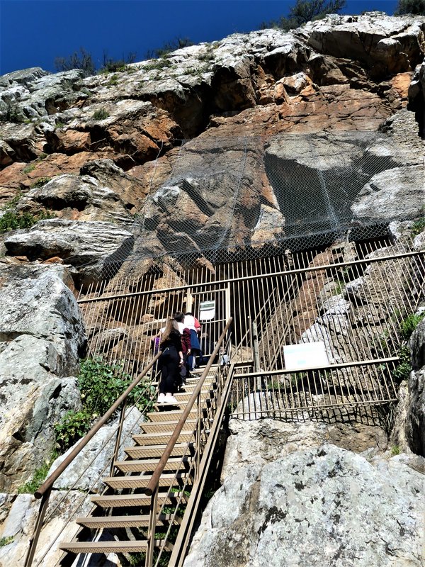 PARQUE NACIONAL DE MONFRAGÜE-2020/2023 - EXTREMADURA Y SUS PUEBLOS -2010-2023 (80)