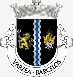 V-rzea