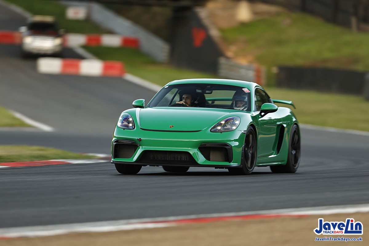 53136277434_d6345bc61a_o