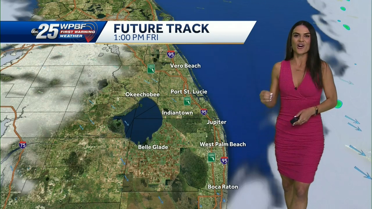 12.23 - 14.00.00 - WPBF 25 News at 9 00 AM..ts_snapshot_00.53.53.969