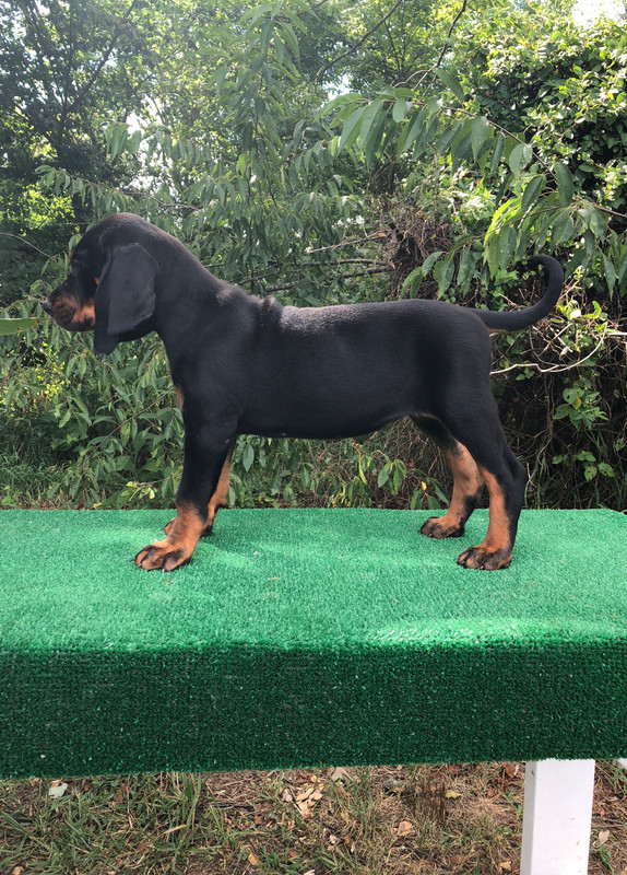 E15A1ACC-5E24-4C74-A5EC-E9B53BB7D1BC