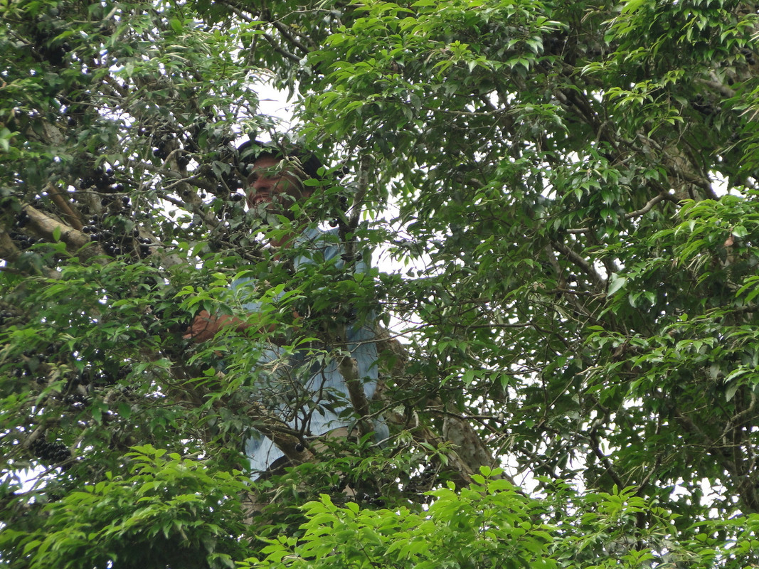 DSC01761